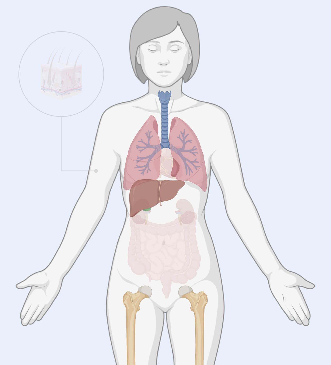 HUMAN – Multi-organ Metastatic Cancer (1) (1)